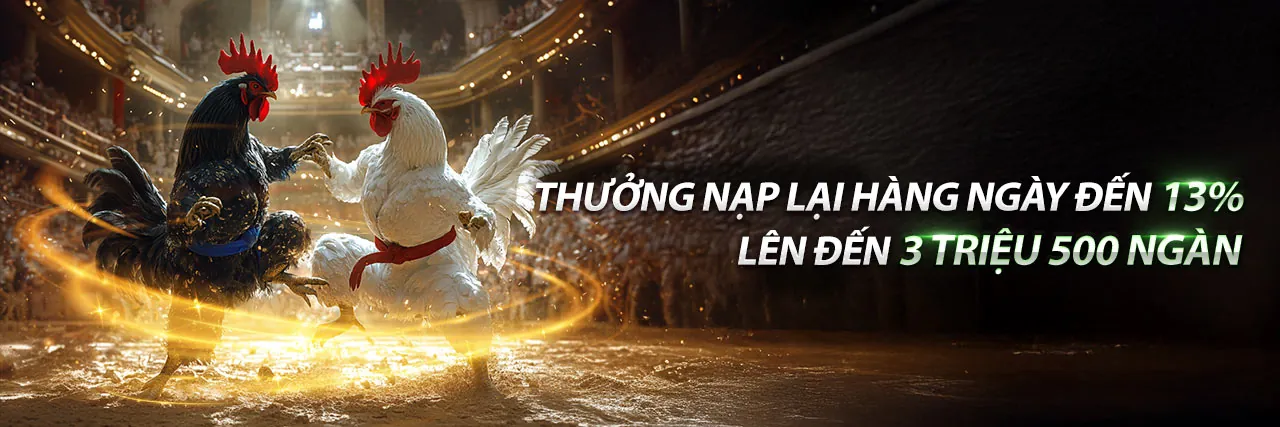 Sân đấu đá gà trực tuyến f8bet71
